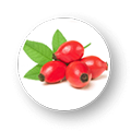 Rosehip Seed Oil