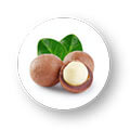 Macadamia And Kukui Nut Oils
