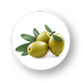 Extra Virgin Olive Oil