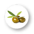 Extra Virgin Olive Oil