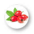 Rose Hip Seed Oil