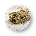 Willow Bark