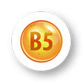 Vitamin B5